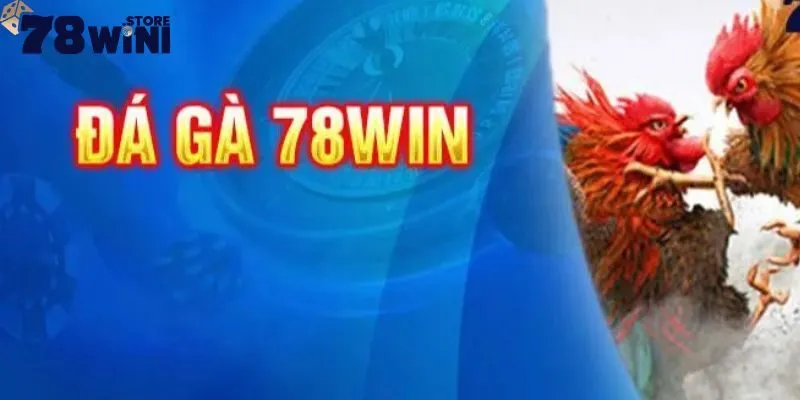 Đá gà 78Win 2 Khám phá các loại hình đá gà ở 78Win và cá cược